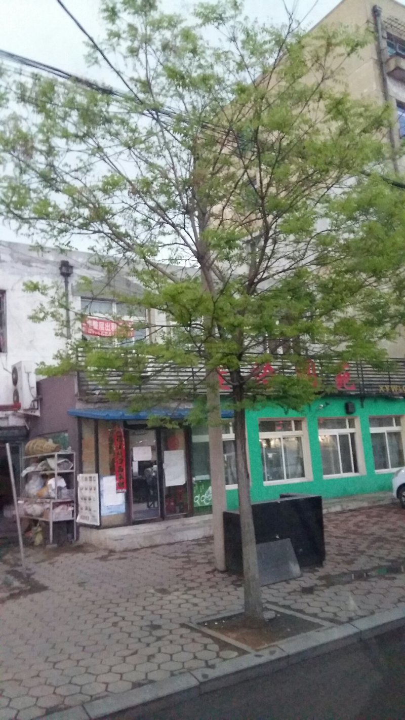 立山区美容